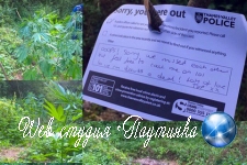 Британская полиция оставила трогательную записку хозяину марихуановой плантации